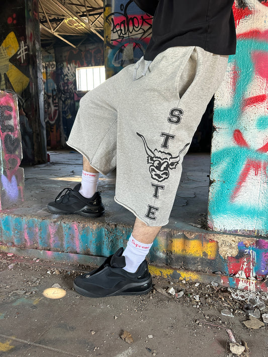 "Ivory State" Baggy Sweatshorts